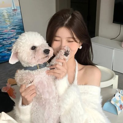 舞动全城粤语